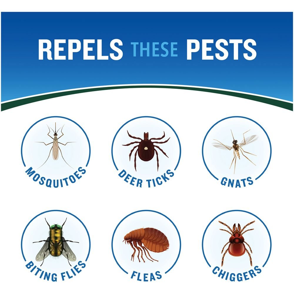 Cutter Backwoods Insect Repellent – 23% DEET Long-Lasting Protection