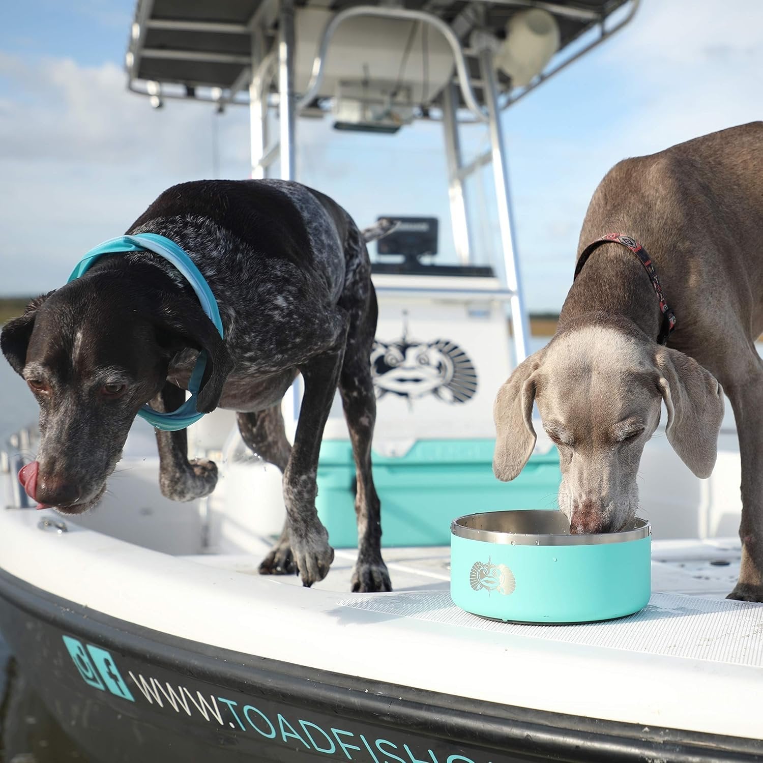 Toadfish Non-Tipping Dog Bowl