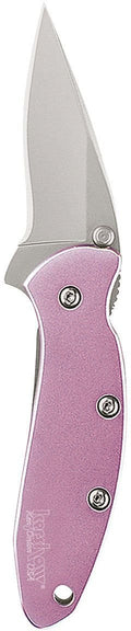 Kershaw Pink Chive Pocket Knife – Assisted Opening EDC (Model 1600PINK)