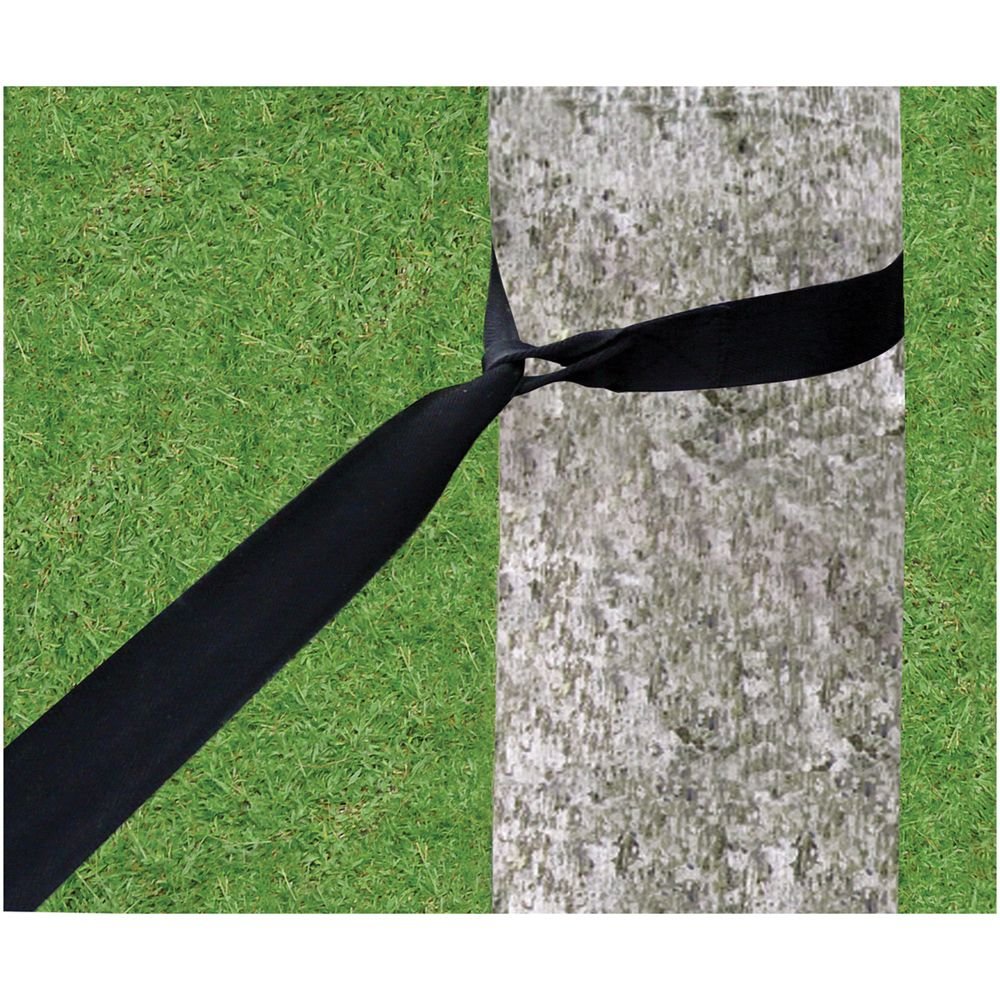 Hammock Bliss Tree Straps – Tree-Friendly Adjustable Hammock Suspension (2-Pack)