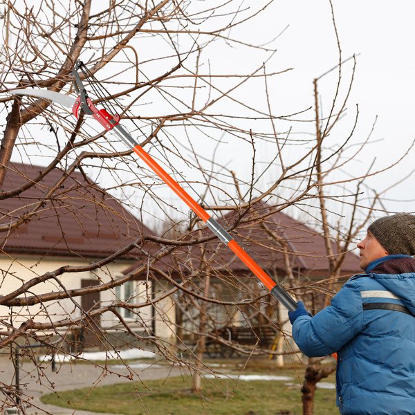 26ft Manual Pole Saw – Lightweight Tree Trimmer with Sharp Steel Blade for High Trees & Shrubs