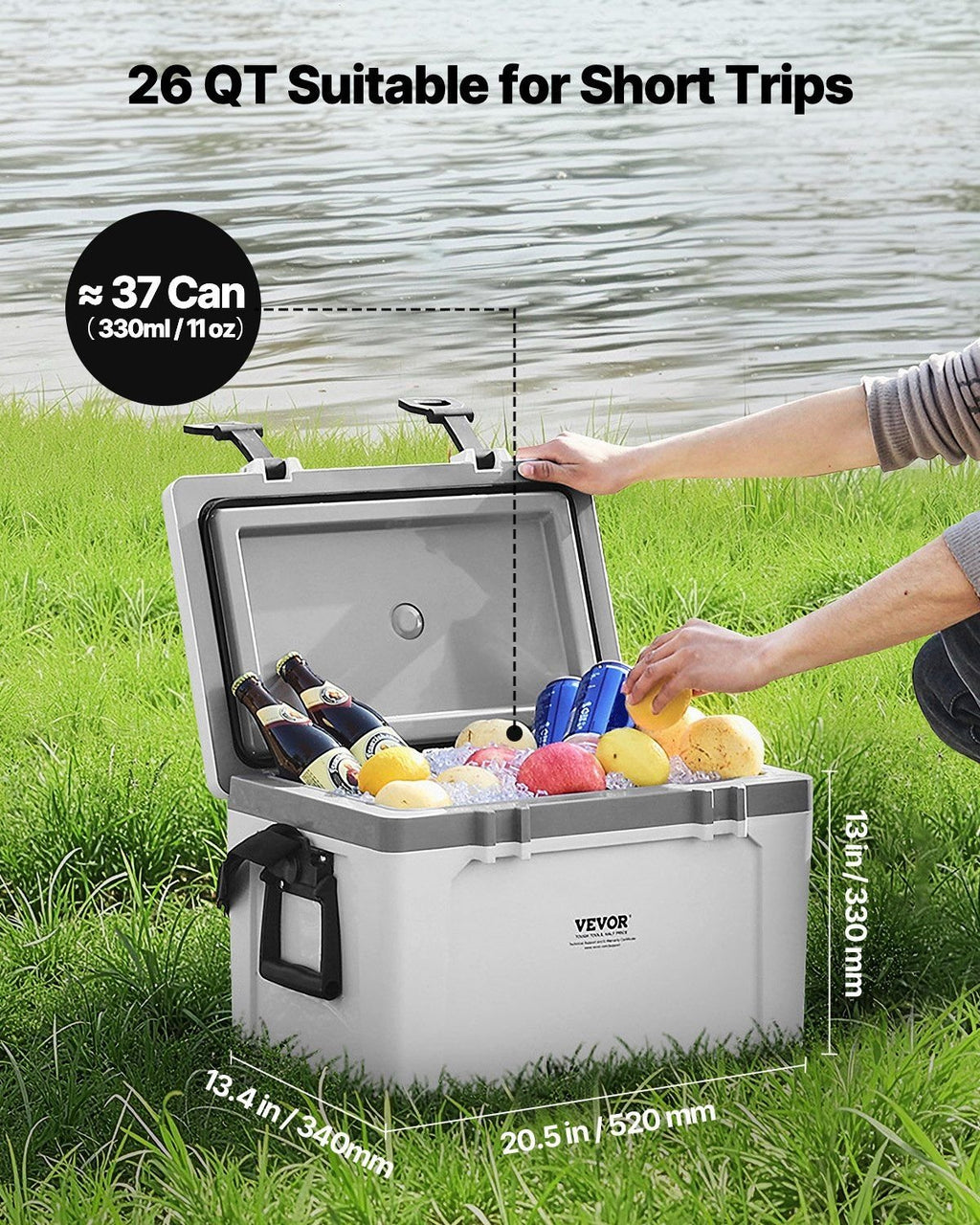 26 QT Portable Insulated Hard Cooler û 38-Can Capacity with Carry Handles & Strap