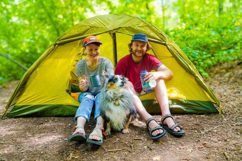 Peregrine Gannet 1-Person Tent – Lightweight Backpacking Tent with Gear Loft Theater
