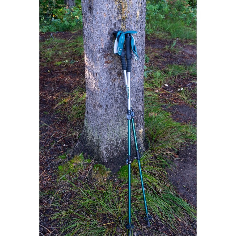 Peregrine Uinta Telescoping Aluminum Trekking Poles (1-Pair, with Ergo Grip & Baskets)
