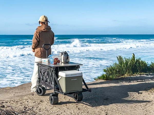 Whitsunday Collapsible Heavy-Duty Wagon with Tailgate, Table & All-Terrain Wheels
