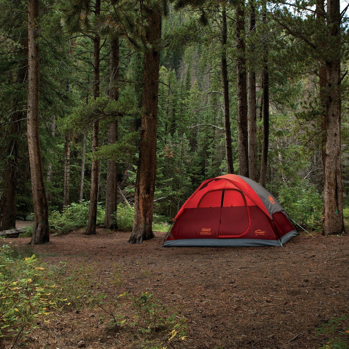 Coleman Flatwoods Lightweight Dome Camping Tent