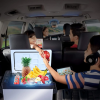 Mini Refrigerator for Car