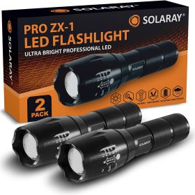 ZX-1 AAA Battery LED Flashlight for Everyday Carry (2 Pack)